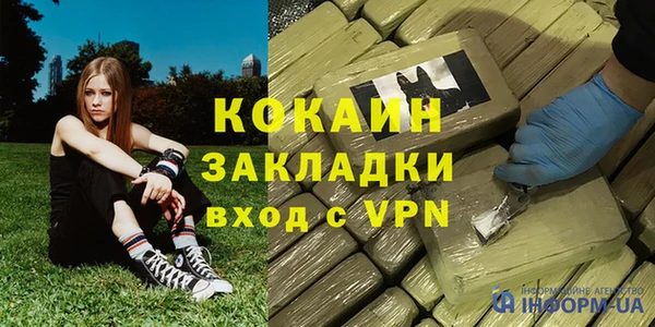 амф Ладушкин