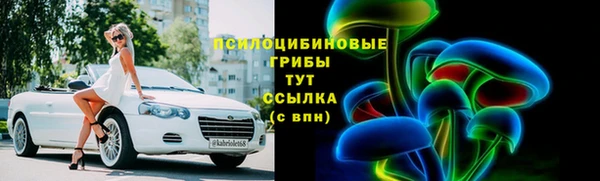 амф Ладушкин