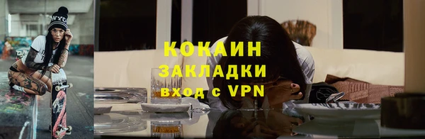 амф Ладушкин