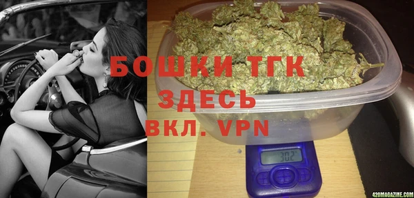 амф Ладушкин