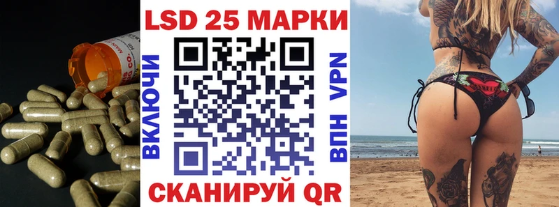 где купить наркотик  Чернушка  LSD-25 экстази кислота 
