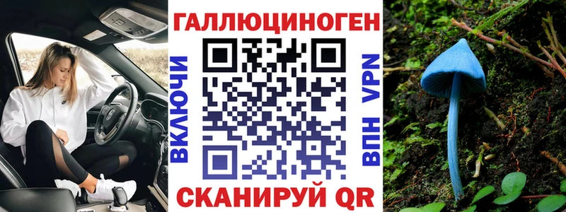 Галлюциногенные грибы GOLDEN TEACHER Чернушка
