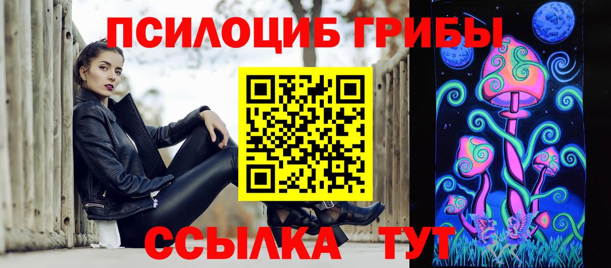 Чернушка  Галлюциногенные грибы Psilocybine cubensis  Вход с VPN 